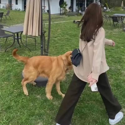 成吉思汗的孩子们